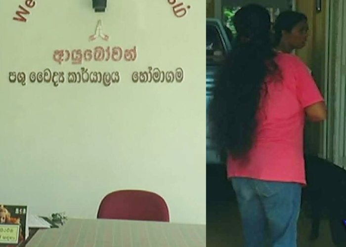 පශු වෛද්‍යවරුන් සංකේත වැඩවර්ජනයක (VIDEO)