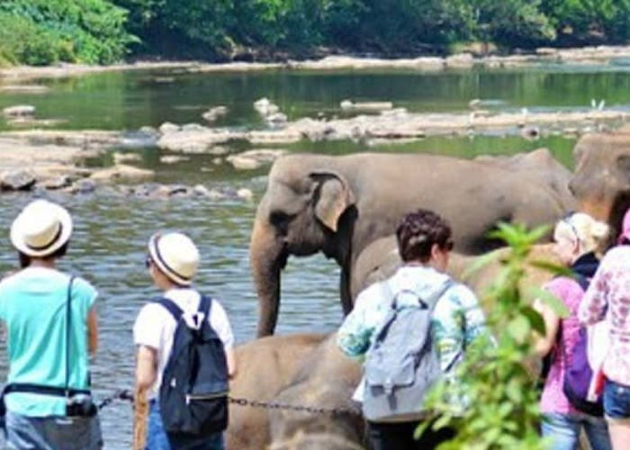 මේ මාසයේ පළමු දින 8ට සංචාරක පැමිණීම 48,000 ඉක්මවයි (VIDEO)