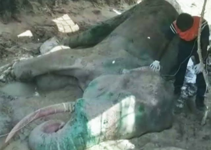 අවසන් සුසුම් හෙලූ භාතිය (VIDEO)