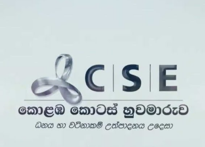 කොටස් වෙළදපොළ ඉතිහාසයේ වාර්තාගත ආදායම (VIDEO)