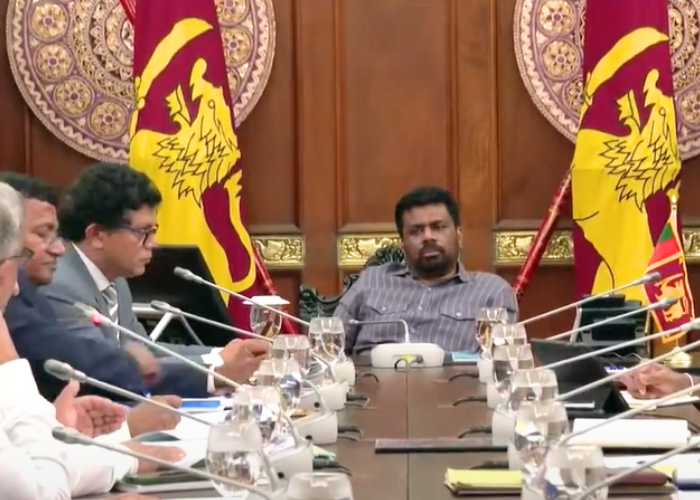 අලි කොරිඩෝ 16ක් – 800kmක විදුලි වැටක් – ජනපතිගේ අවධානයට (VIDEO)