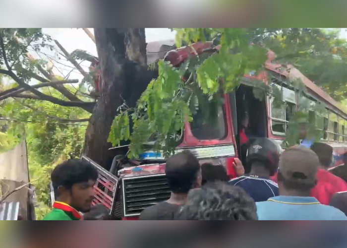 තවත් ලංගම බස් රථයක් ගසක හැපේ.