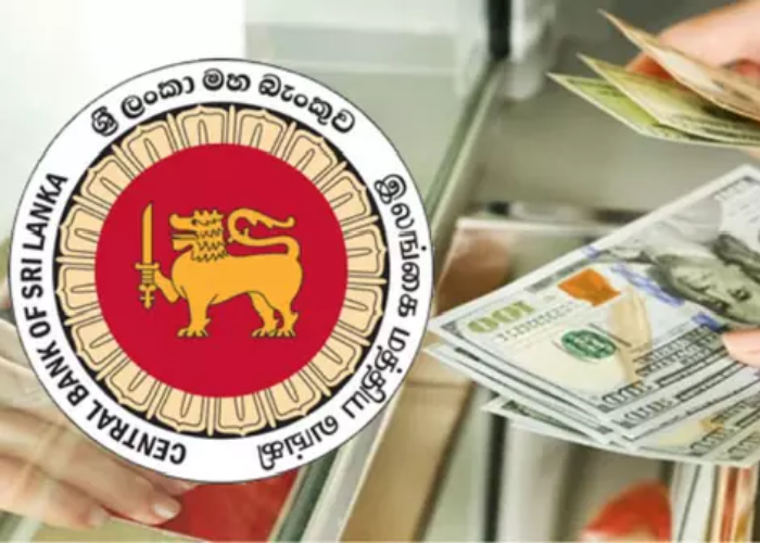 විදෙස් ප්‍රේෂණ ඉහළට (VIDEO)