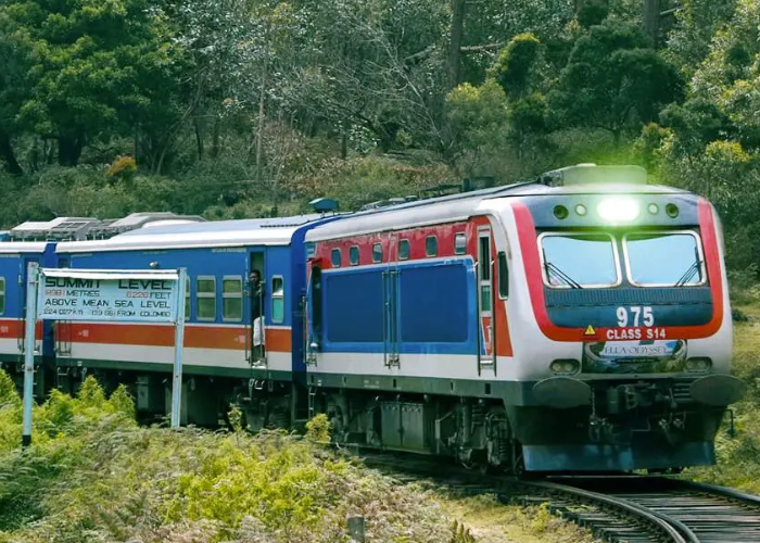 ටිකට් ගත්තත් ඔඩිසි ගමන තහනම් වූ විදේශිකයෝ (VIDEO)