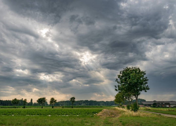 අද කාලගුණය