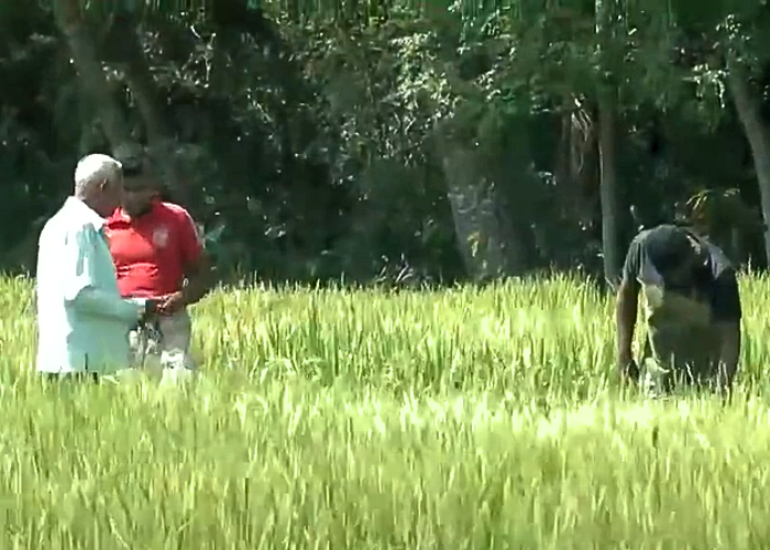 ගොවීන්ට තවත් හිසරදයක් (VIDEO)