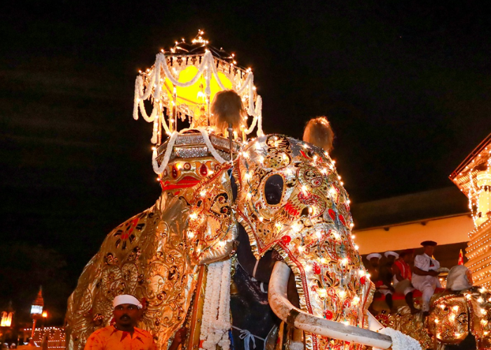 ඓතිහාසික සෙංකඩගල ඇසළ පෙරහැර මංගල්‍යයයේ තුන්වන රන්දෝලි පෙරහැර අදයි (VIDEO)