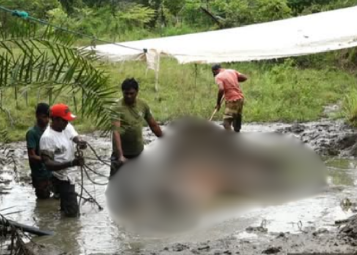 තවත් මියගිය වන අලියෙකුගේ සිරුරක් දහයියාගල කරමැටිය වැව අසලින් සොයා ගැනේ