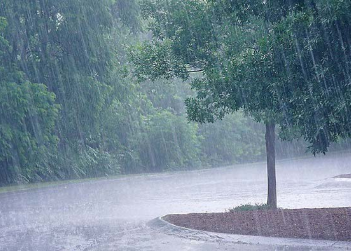 අද කාලගුණය