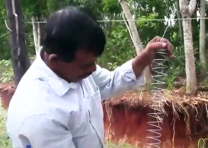 වන අලි ගැටලුවට ගම්මුන් සෙවූ විසදුම (VIDEO)