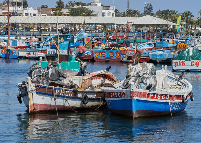 වසර 10කට පසු ජාතික ධීවර යාත්‍රා සංගණනය අද ඇරඹේ