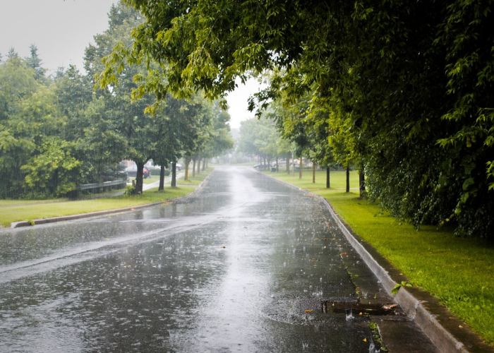 අද කාලගුණය