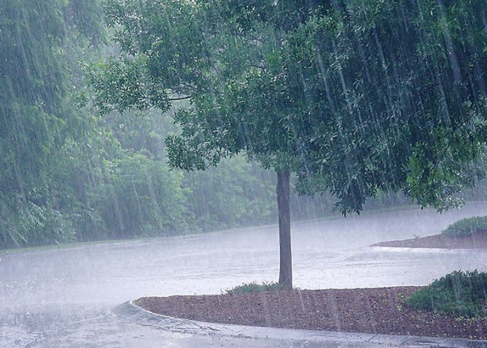 අද කාලගුණය