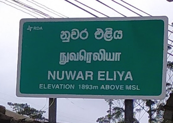 සති අන්තයේ ආ සංචාරකයන් (VIDEO)