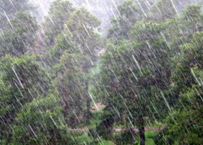 අද කාලගුණය