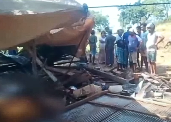 වනඅලියෙකු උදුරාගත් ජීවිතය (VIDEO)