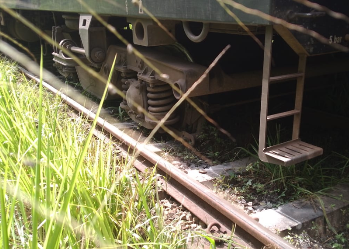 පොඩි මැණිකේ පීලි පනී