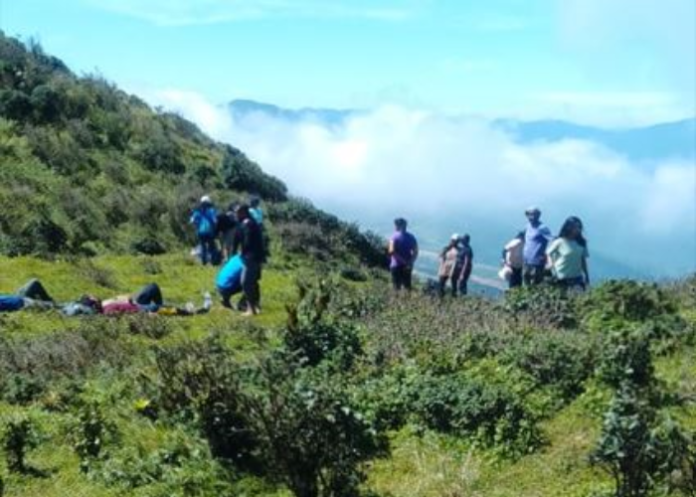 Untitled design - 2025-09-25T153518.236