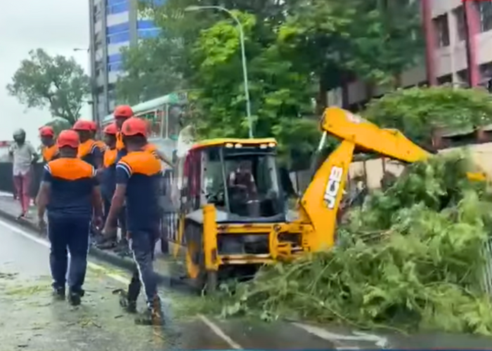 පළාත් කිහිපයකට තද වැසි – ඕල්කට් මාවතේ කඩාවැටුණු ගස (VIDEO)