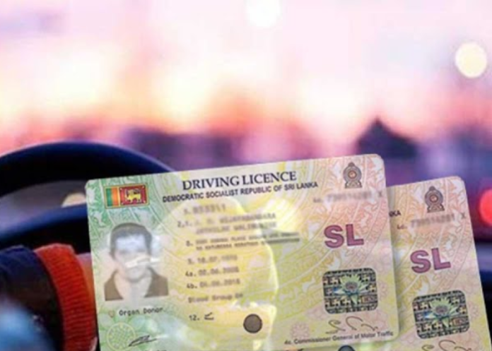 Untitled design (23)