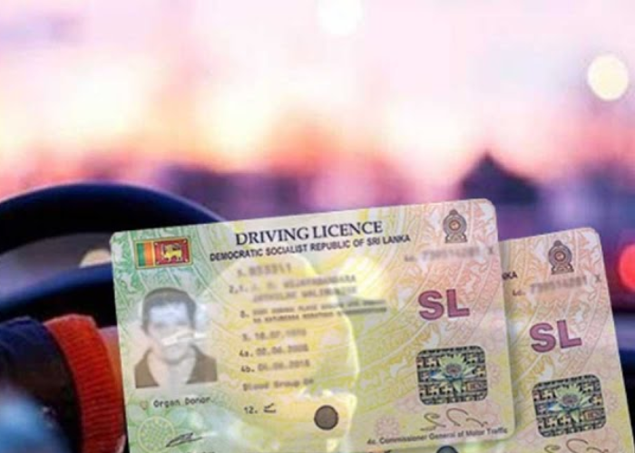 විනාඩි 8න් ලයිසන් (VIDEO)