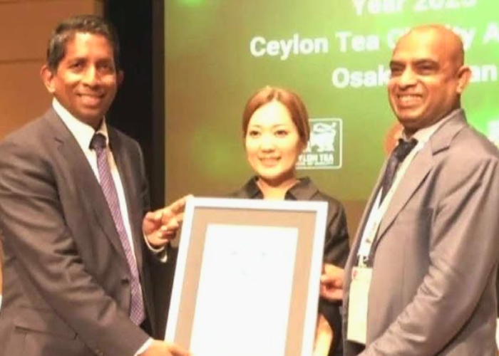 ගිනස් වාර්තා ‍පොතට ගිය අපේ තේ (VIDEO)