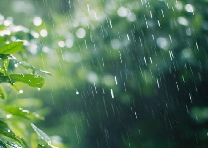 අද කාලගුණ‍ය