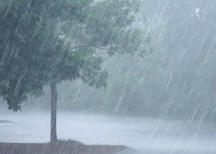 අද කාලගුණය