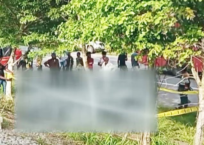 ගල්ගමුව මී ඔය පාලම අසල වන අලියෙකු දුම්රියේ ගැටී මියයයි (VIDEO)