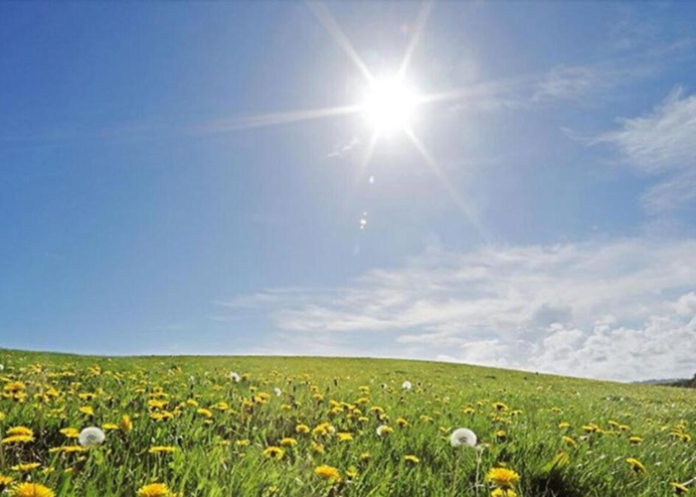 Untitled design (25)