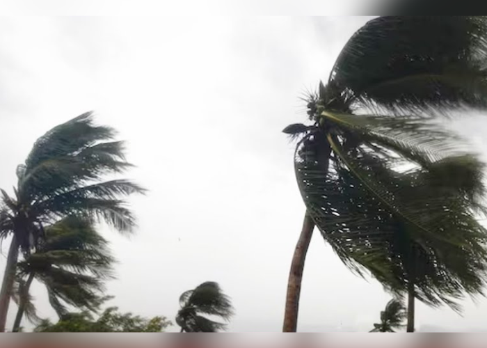 ඉදිරි පැය 12දී ගැඹුරු පීඩනයක් – සුළං තදයි (VIDEO)