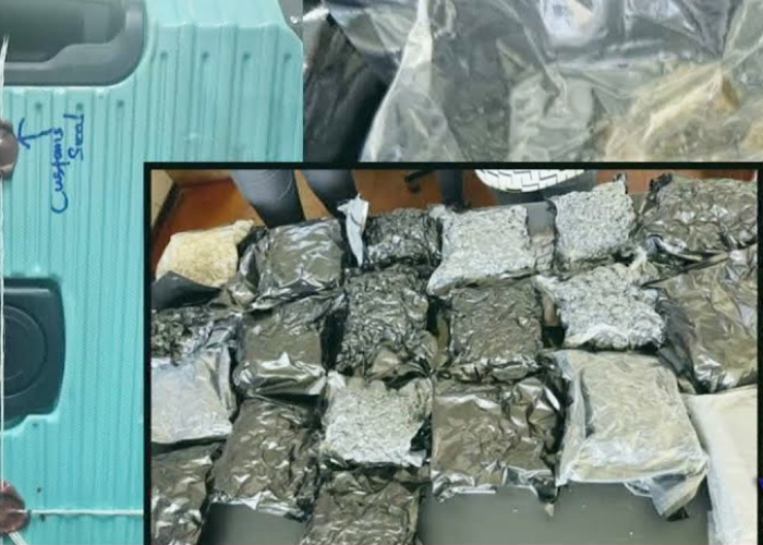 කටුනායකින් ඇල්ලූ කුෂ් (VIDEO)