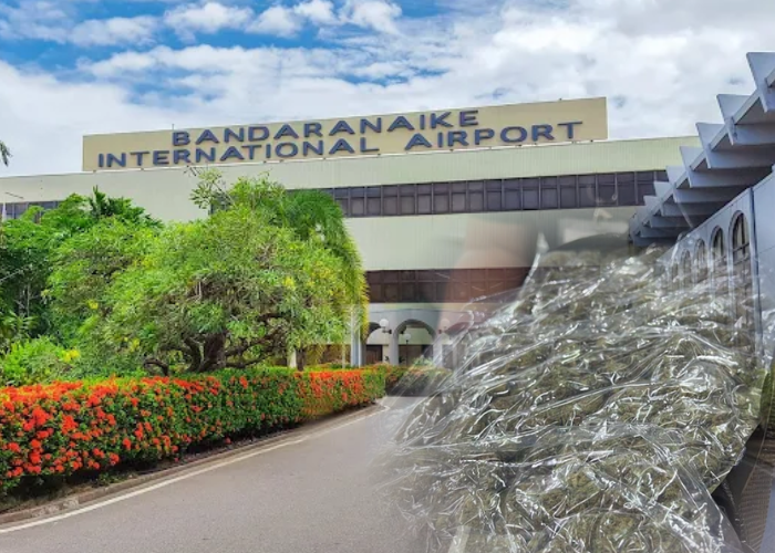 කුෂ් කිලෝ 4ක් සමඟ ගුවන්තොටුපළේදී පුද්ගලයන් තිදෙනෙකු අත්අඩංගුවට