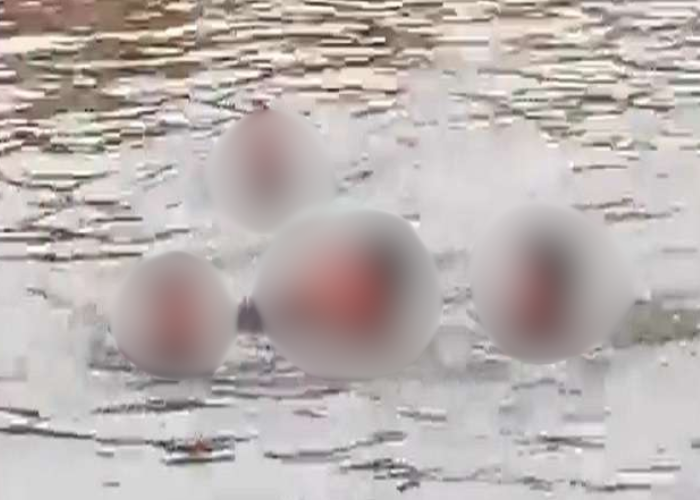 පුත්තලම දැදුරු ඔයට එකම පවුලේ පහක් බිලි