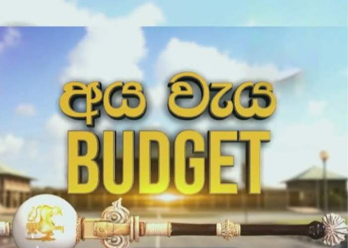 අයවැය ගැන ‘ෆිච් රේටින්ග්ස්’ මතය (VIDEO)
