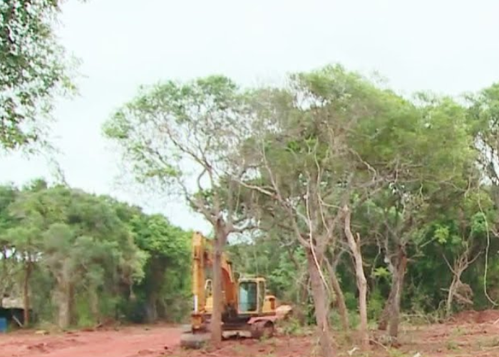 කැනීම් කළ අධ්‍යක්ෂ රිමාන්ඩ් (VIDEO)