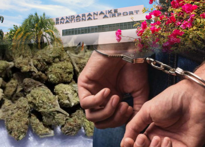 කටුනායක ගුවන්තොටුපළේදී කුෂ් සමඟ සැකකරුවෙකු අත්අඩංගුවට