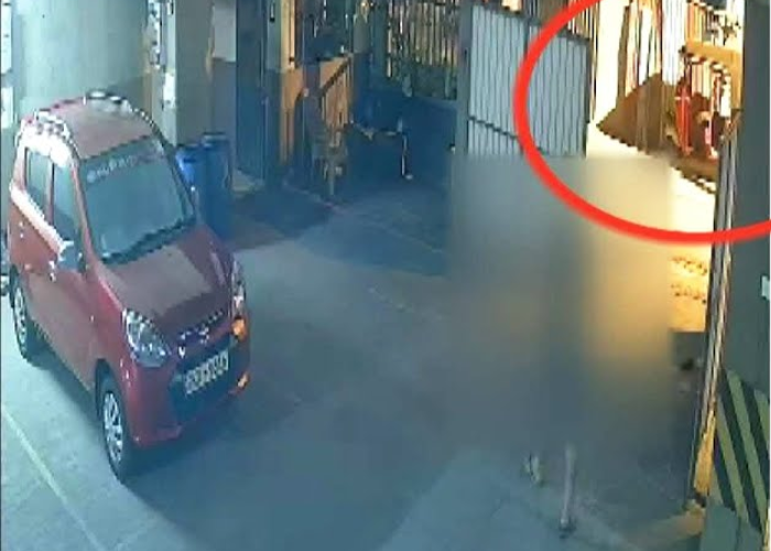 කොටහේන ඝාතනයට තවත් සැකකාරියක් කොටු (VIDEO)