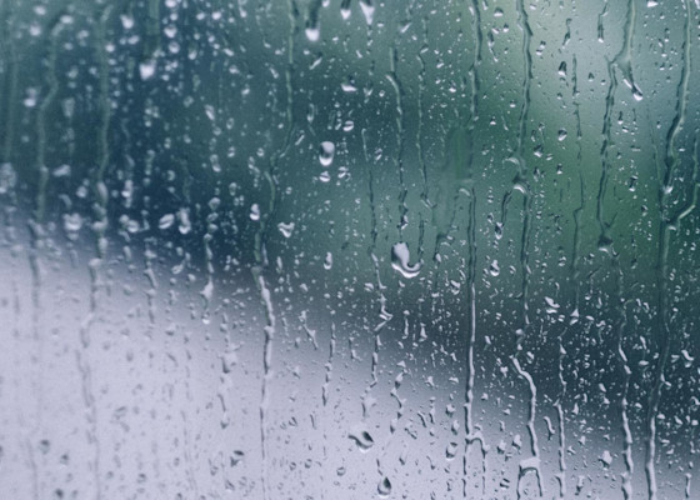 අද කාලගුණ‍ය