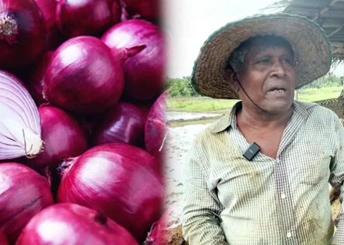 දේශීය ලොකු ළුණු වලට සාධාරණ මිලක් ඉල්ලන ගොවි ජනතාව (VIDEO)