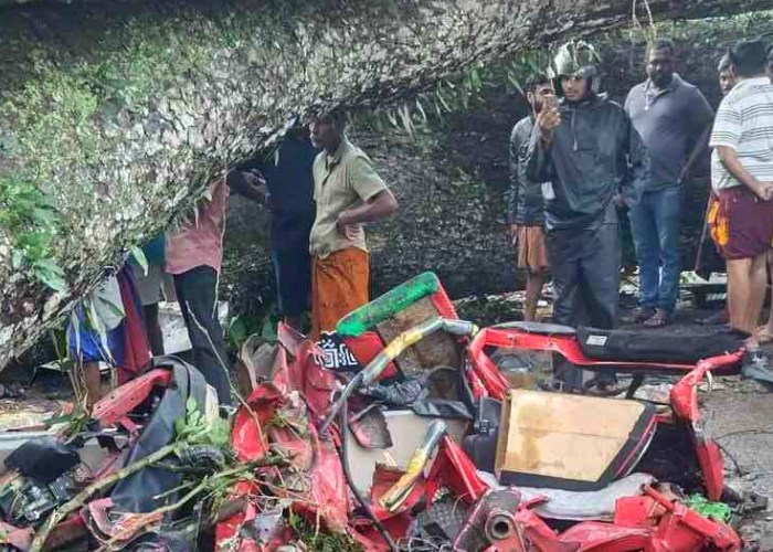 මාර ගහේ මාරක අනතුර (VIDEO)