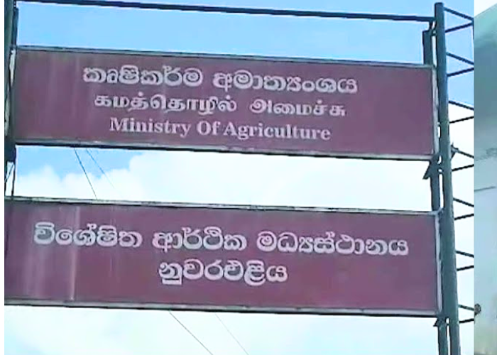 නුවරඑළියේ ගොවි විරෝධය (VIDEO)