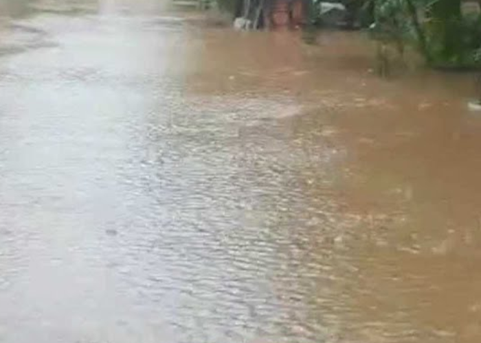 කැළණි ගඟ අවට අනතුරේ (VIDEO)