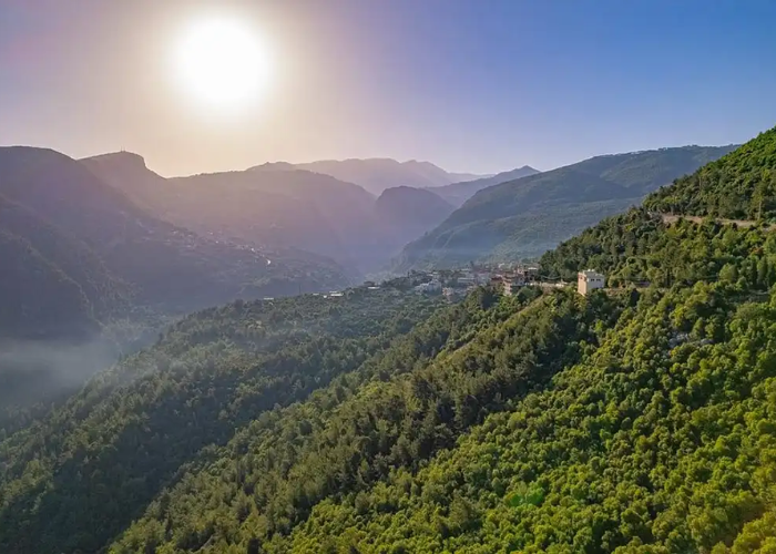 අද කාලගුණ‍ය