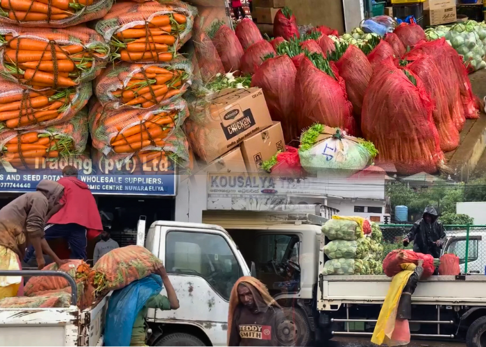 නුවරඑළිය ආර්ථික මධ්‍යස්ථානයෙන් කොළඹට එළවළු කිලෝ ලක්ෂයක්