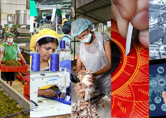 ආපදාවට ලක්වූ කර්මාන්තවල දත්ත ලබා ගැනීමට ක්‍රමවේදයක් (VIDEO)