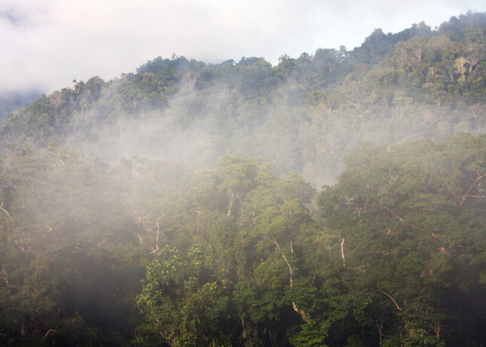 අද කාලගුණය