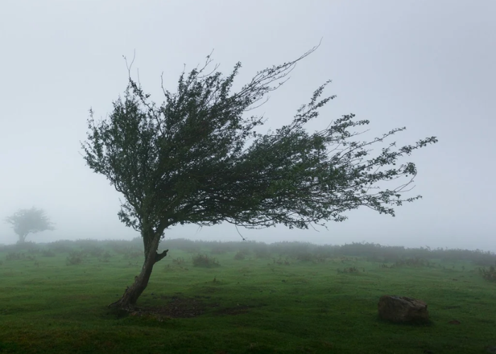 අද කාලගුණය