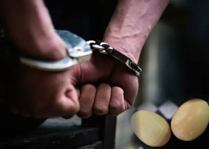 නීතිවිරෝධී ලෙස ගජමුතු ළඟ තබාගත් අයෙකු අත්අඩංගුවට