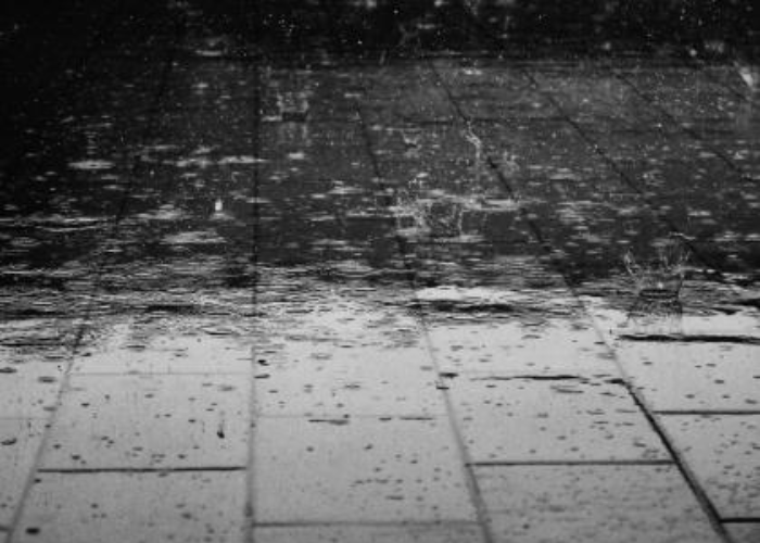 අද කාලගුණය